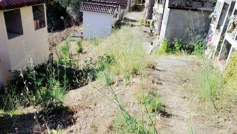 Pulito il cimitero di Crochi, gli abitanti delle frazioni ringraziano