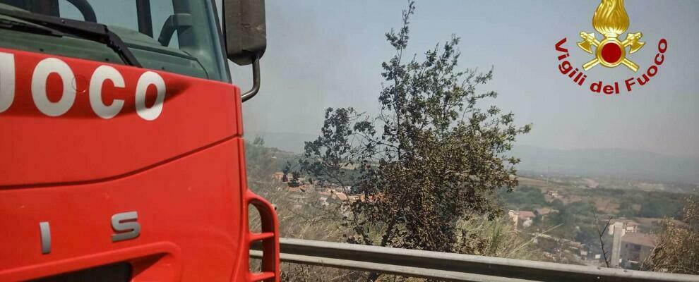 Oltre 20 incendi boschivi fronteggiati oggi dai vigili del fuoco nel vibonese