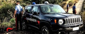 Sorpreso a rubare tronchi di alberi, un arresto nel reggino item-thumbnail