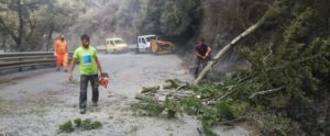 Incendi, chiusa al traffico la Sp1 Gioia Tauro – Locri in località Zomaro item-thumbnail