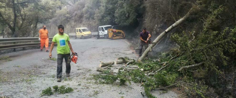 Incendi, chiusa al traffico la Sp1 Gioia Tauro – Locri in località Zomaro