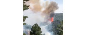 Aspromonte in fiamme, lettera aperta alle istituzioni item-thumbnail