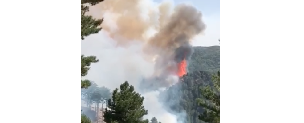 Aspromonte in fiamme, lettera aperta alle istituzioni