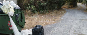 Il lettore segnala: “A Ursini di Caulonia i cinghiali banchettano con la spazzatura” item-thumbnail