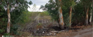 Incendio a Favaco di Stignano spento dai volontari item-thumbnail