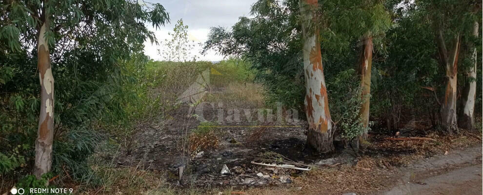 Incendio a Favaco di Stignano spento dai volontari