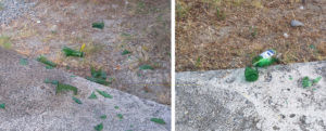 Vandali in azione al parco giochi di Caulonia marina – fotogallery item-thumbnail