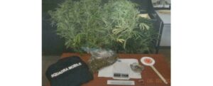 Crotone, stretta della Polizia sullo spaccio di droga in città: tre arresti nell’ultima settimana item-thumbnail