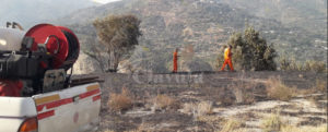 Caulonia, fiamme finalmente sotto controllo item-thumbnail