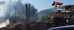 I carabinieri spengono un vasto incendio nel reggino, in salvo un gruppo di scout item-thumbnail