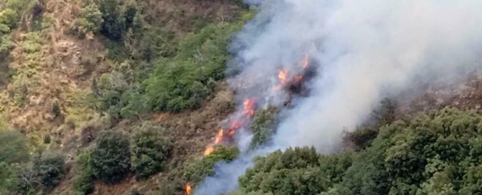 Il presidente del Parco Nazionale dell’Aspromonte: “Nell’indifferenza generale qui sta bruciando tutto”
