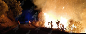Incendi a Caulonia, chiesta alla Regione la dichiarazione dello stato di emergenza item-thumbnail