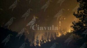 Goel e Comunità Progetto Sud: “Brucia l’Aspromonte… ma dobbiamo reagire!” item-thumbnail