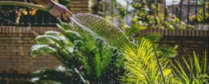 Eccessivo consumo di acqua a Caulonia: stanotte sospesa l’erogazione in zona Camillari ed Ente Sila item-thumbnail