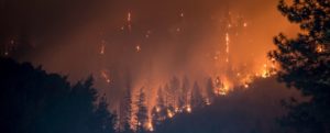 Incendi boschivi, ieri 17 interventi della Protezione Civile item-thumbnail