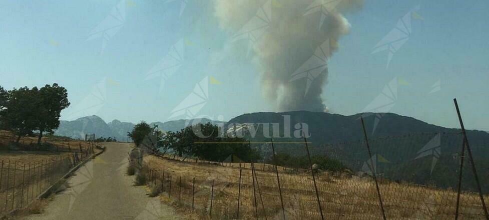 San Luca, gli incendi minacciano le Faggete Vetuste patrimonio dell’Unesco. Autelitano: “non c’è più tempo”