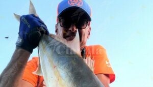 Bovalino: pescata ricciola da riva item-thumbnail