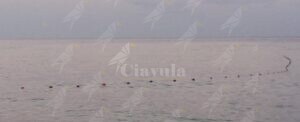 Segnalata rete da pesca abusiva a Caulonia item-thumbnail