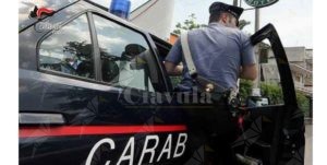 Si rifiuta di coltivare marijuana e viene rinchiuso in cantina, due arresti item-thumbnail
