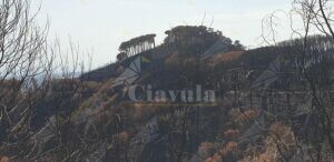 Cosimo Cavallaro: “Grotteria, alle porte dell’inferno” item-thumbnail