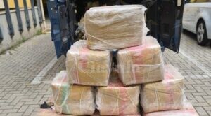 Trovati in possesso di 450 kg di hashish, due persone in manette item-thumbnail