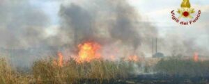 Calabria: individuato un minorenne piromane. Incastrato dalle telecamere item-thumbnail