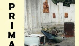 Benestare, il comune rimuove i rifiuti depositati davanti al cimitero item-thumbnail