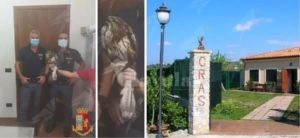 Calabria: Poiana precipita sui binari della stazione ferroviaria, salvata dalla polizia item-thumbnail