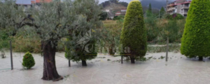 L’appello di Cosimo Cavallaro agli amministratori di Caulonia e Roccella: “Ricordatevi la manutenzione del torrente Canne” item-thumbnail