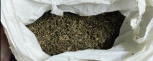 Droga e armi scovati a Roccella Jonica. Un arresto e 4 denunce item-thumbnail