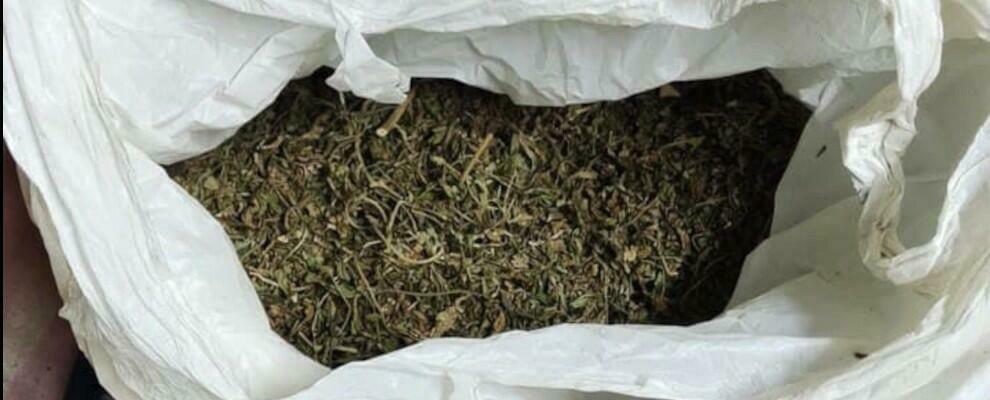 Droga e armi scovati a Roccella Jonica. Un arresto e 4 denunce Droga e armi scovati a Roccella Jonica. Un arresto e 4 denunce