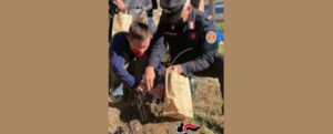 Roccella: giornata di educazione ambientale all’Istituto Mazzone con il progetto “Un albero per il futuro” item-thumbnail