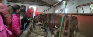 Nuova “giornata in fattoria” per 25 bambini di Caulonia e della Locride grazie a Sankara item-thumbnail
