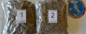 Calabria: inseguimento lungo la scala di una palazzina, due denunce per droga item-thumbnail