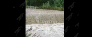 Caulonia: L’irruenza del torrente Allaro – video item-thumbnail