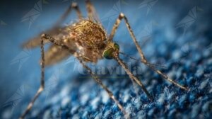 L’OMS approva il primo vaccino contro la malaria. Un enorme passo avanti per l’umanità item-thumbnail