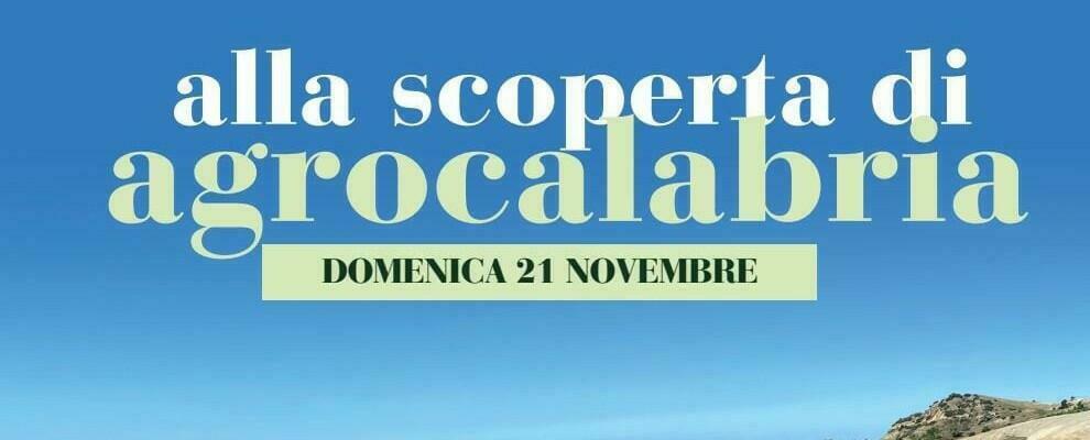 “Alla scoperta di agrocalabria” per 40 bambini di Caulonia e della Locride grazie alla Cooperativa Sankara