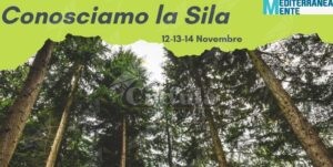 Secondo weekend in Sila per i bambini di Caulonia e della Locride grazie alla Coop Sankara item-thumbnail