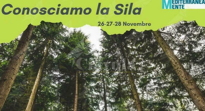 Quarto weekend in Sila per i bambini di Caulonia e della Locride grazie alla Coop Sankara