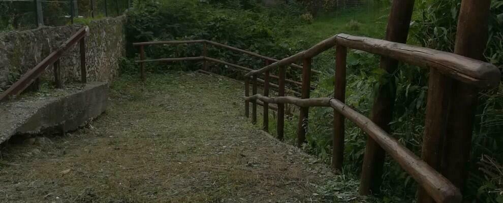 Gioiosa Ionica, ripulita la Villa romana del Naniglio. L’elogio del sindaco agli operai di Calabria Verde