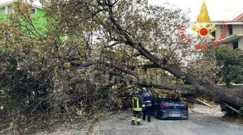 Calabria: grosso albero cade su un’auto in transito