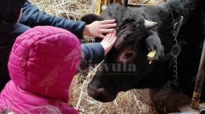“Giornata in Fattoria” per altri 30 bambini della Locride grazie alla coop Sankara item-thumbnail