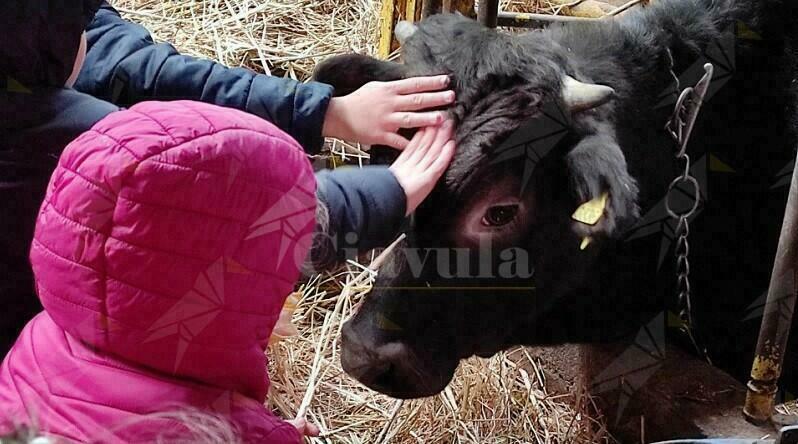 “Giornata in Fattoria” per altri 30 bambini della Locride grazie alla coop Sankara