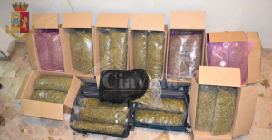 Trovato in possesso di 68 kg di marijuana, arrestato item-thumbnail