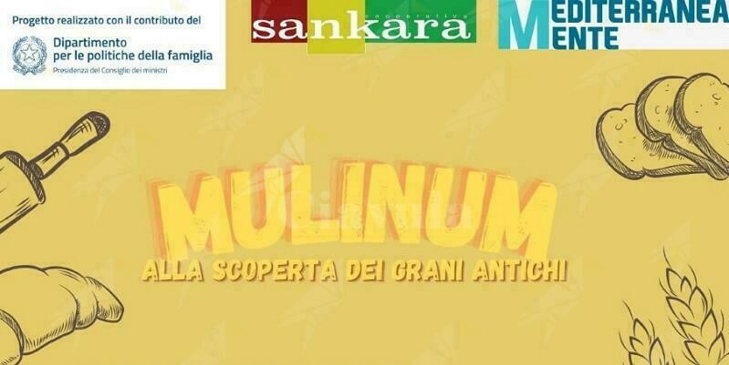 Alla scoperta dei “grani antichi” insieme alla coop. Sankara. Escursione gratuita per decine di ragazzi della Locride