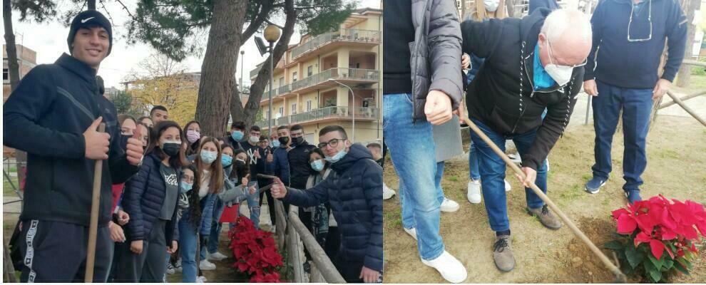 Gli studenti dello ‘Zanotti- Bianco” piantano le stelle di Natale AIL