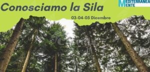 Quinto weekend in Sila per i bambini della Locride grazie alla Coop Sankara item-thumbnail