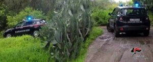 Disarticolata cosca a Cinquefrondi. Arrestate 8 persone coinvolte nell’operazione “Saggio Compagno” item-thumbnail