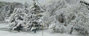 Tragedia sulle piste da sci a Lorica, muore il direttore dell’impianto di risalita item-thumbnail