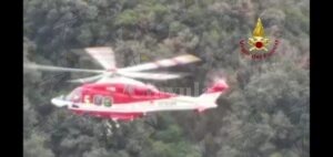 Placanica: i vigili del fuoco salvano un cane precipitato nel burrone. Il video del salvataggio item-thumbnail